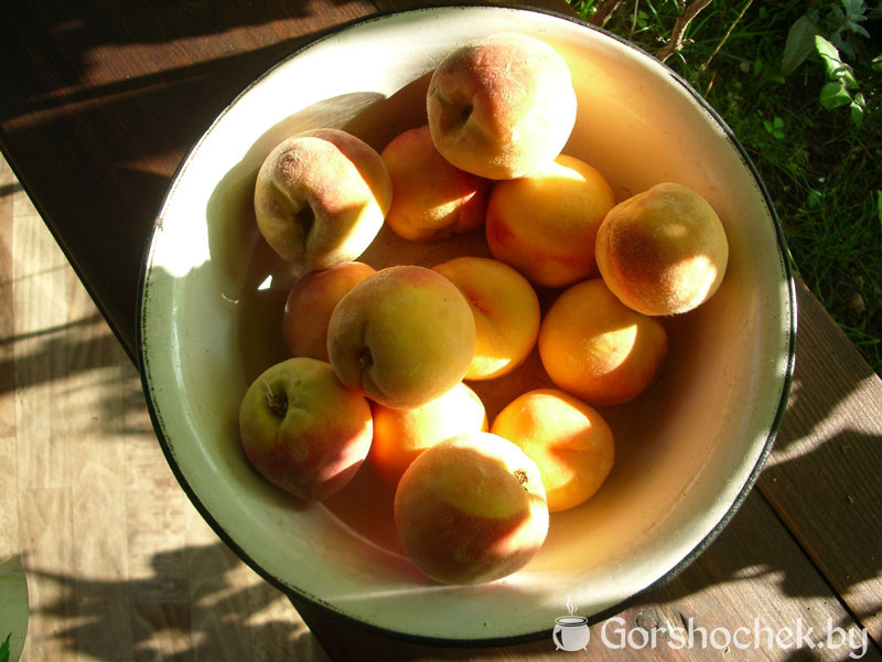 Варенье из персиков персики вымыть